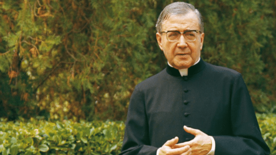 Assembleia de Vozes: Como Criar seu Conselho Pessoal de Orientação e Crescimento