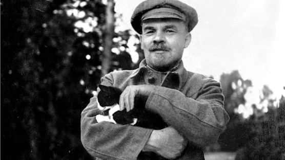 O que é o Teatro das Tesouras?